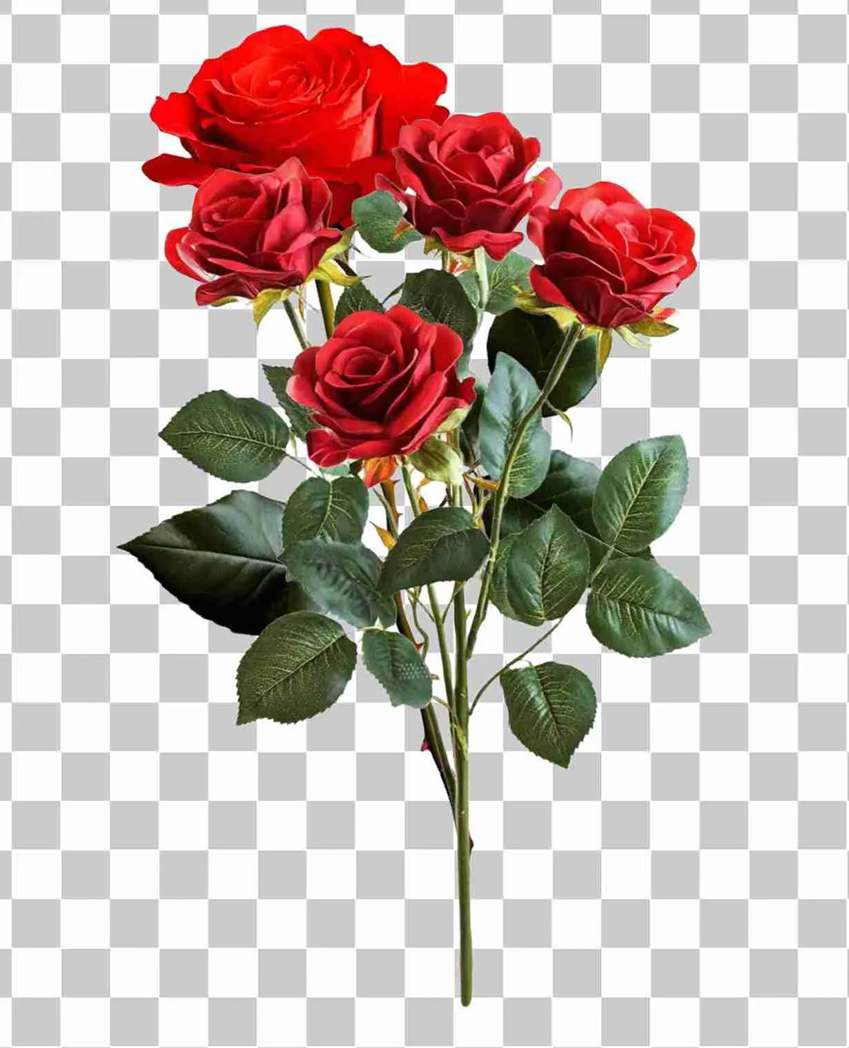 Bellissimo bouquet di rose rosse - fiori romantici freschi e png rose fiore, 