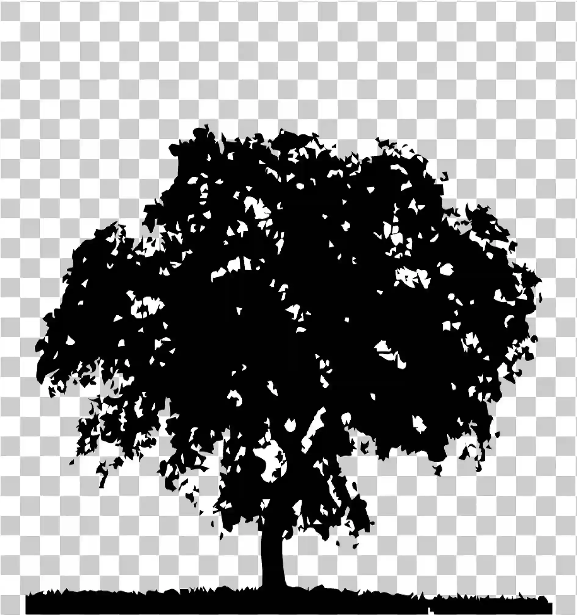 Svart og hvitt tre, Treeklippkunst svart og hvitt, Tre utklipp svart og hvitt, tre png, 