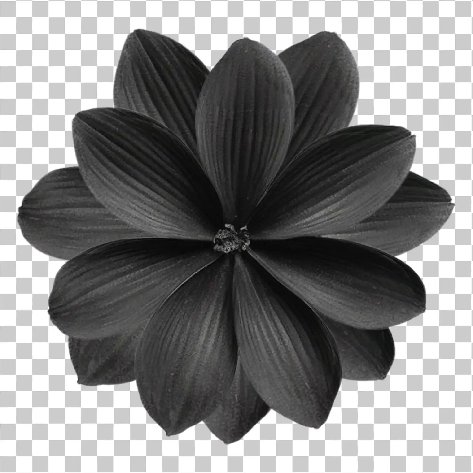 Musta dahlia kukka, Musta kukka ja ruusu, Esteettinen kukkien tatuointisuunnittelu PNG, 