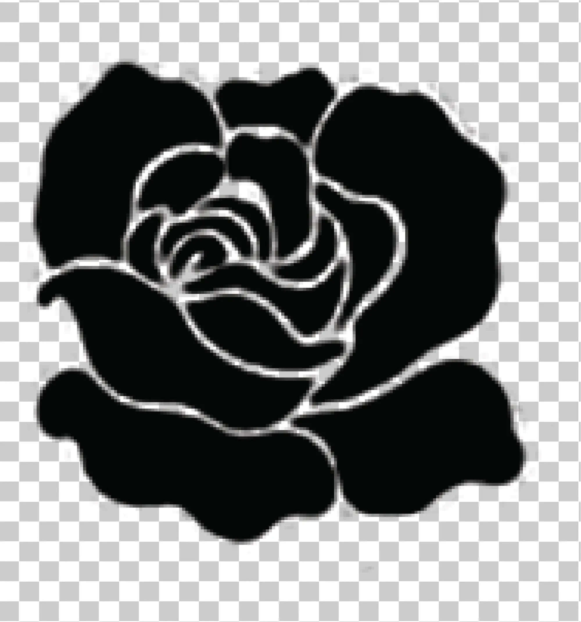 Blooming Black Rose - Simbolisme Bunga Hitam & Putih PNG, 
