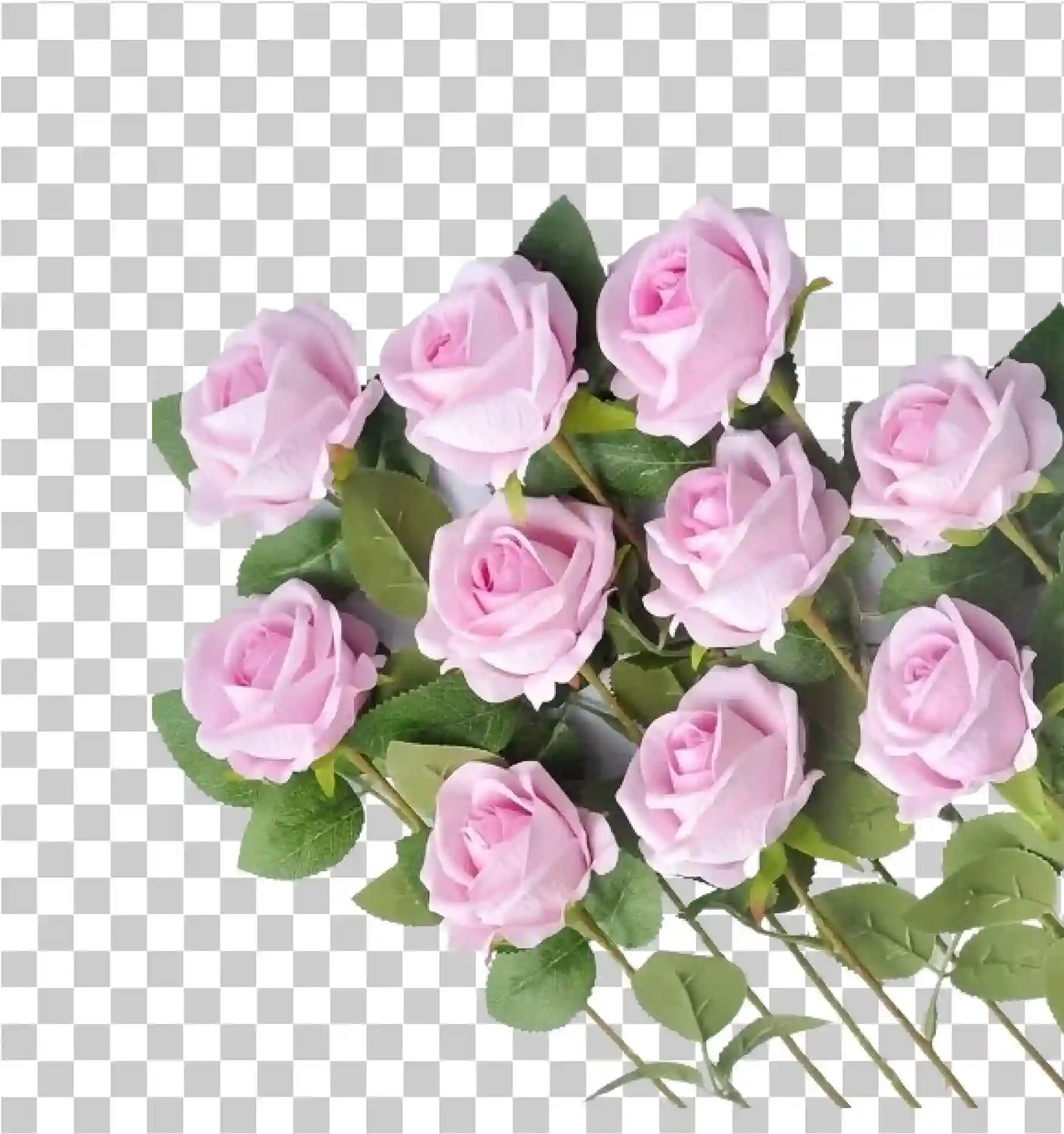 花, 粉红色玫瑰, 玫瑰, 花PNG, 