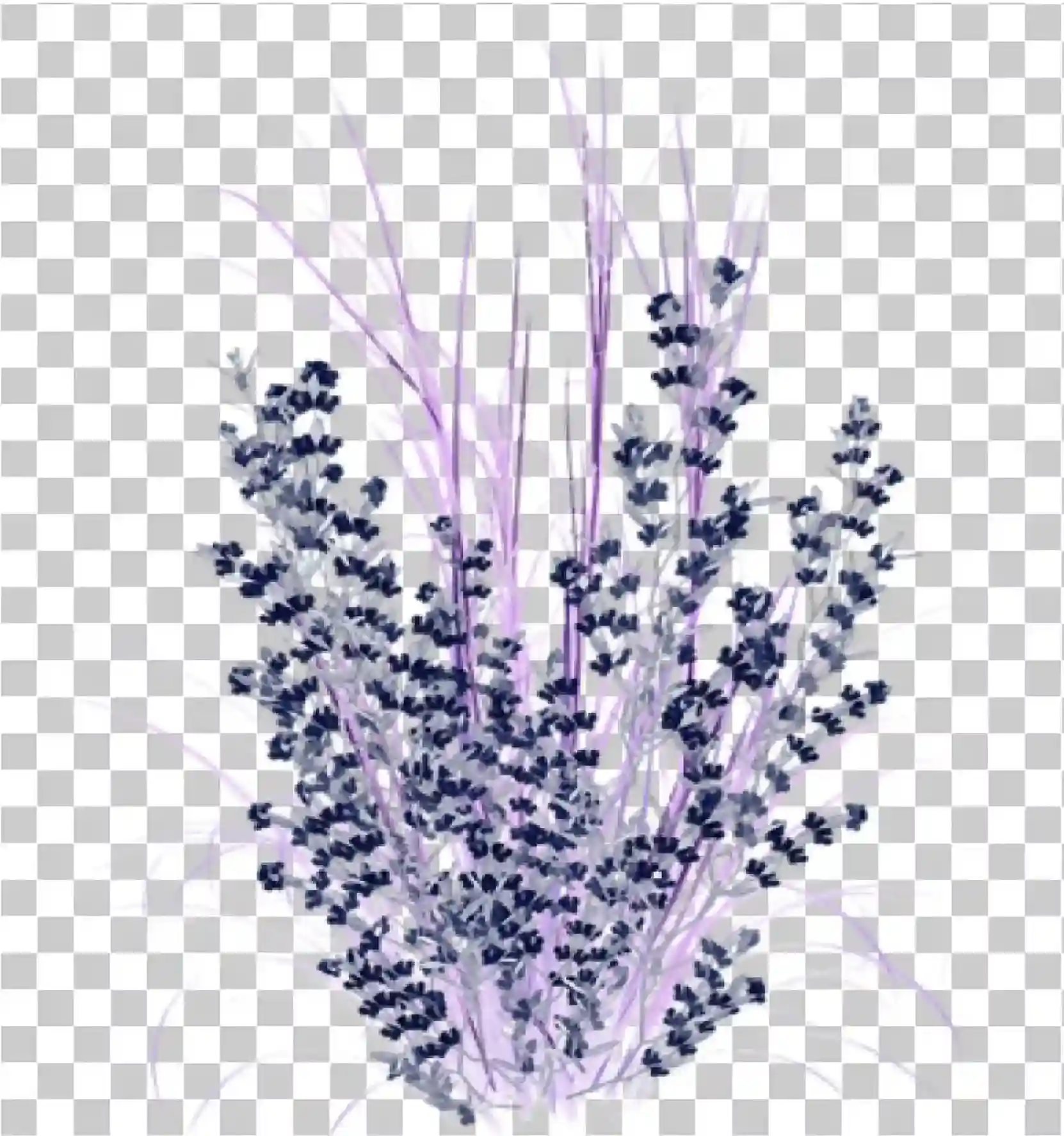 Flor de lavanda, roxo, Flores de lavanda, Flores roxas, FLOR PNG, 