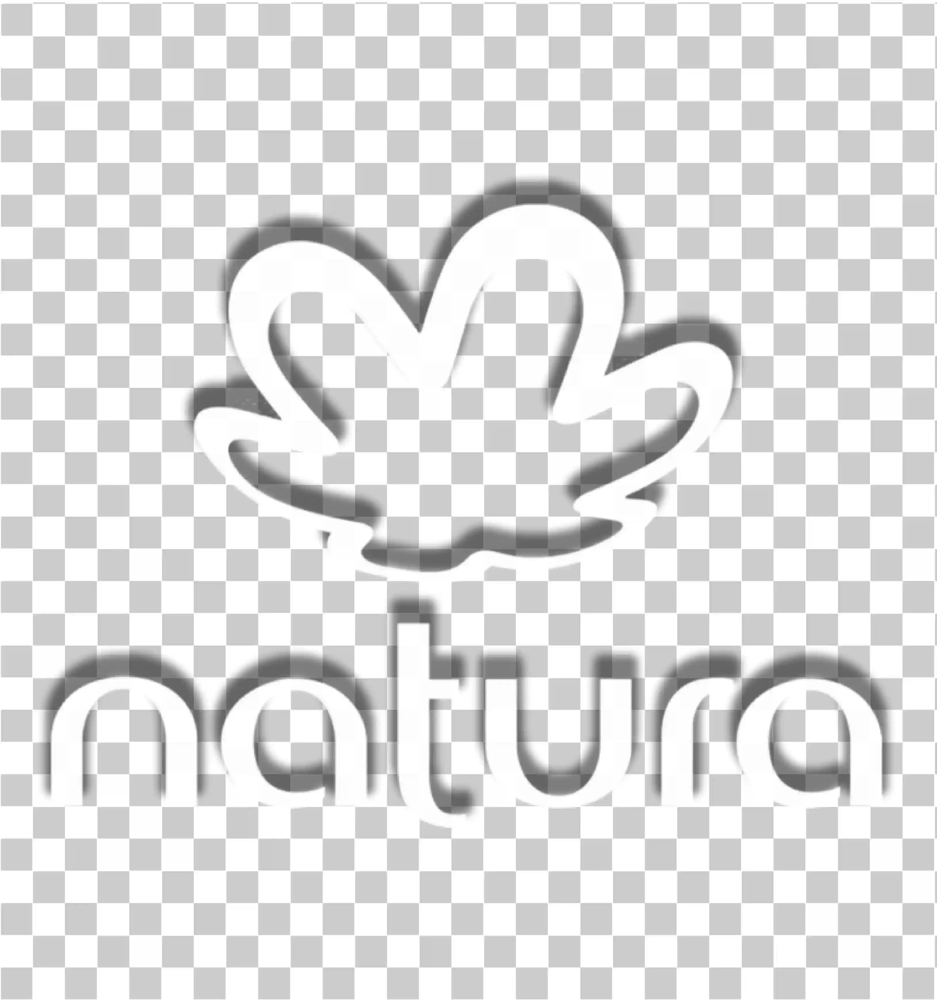 Natura & Co Gray and White Logo - design ochranné známky značky kosmetiky, Symbol natura png, 